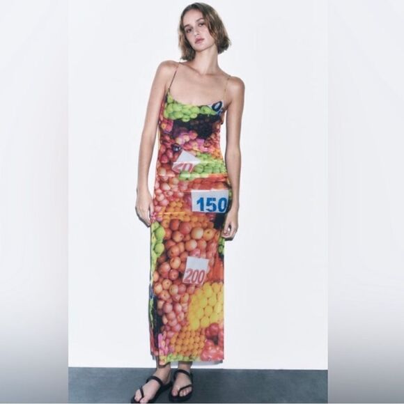 NWT Zara Mesh Fruit Stand Print Maxi Dress Medium - Picture 1 of 11